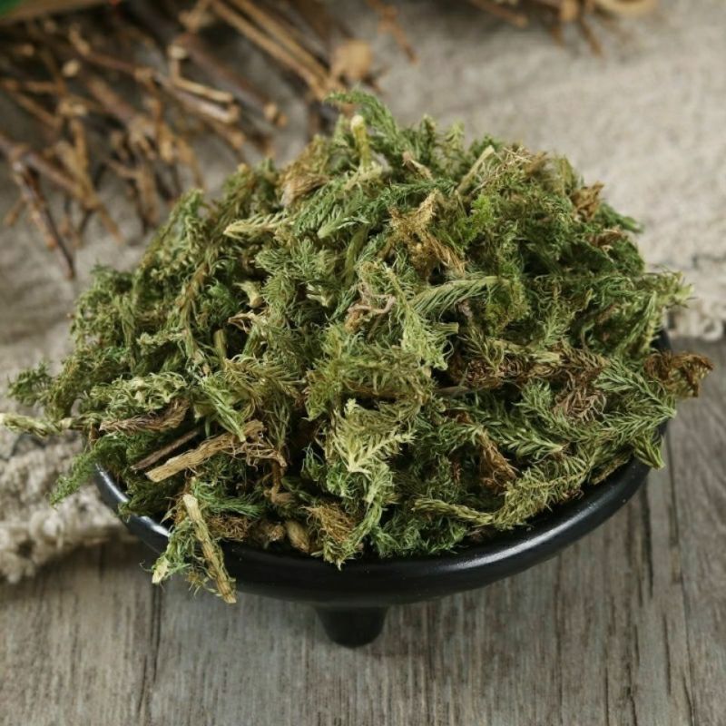 中药材伸筋草筋骨草新货透骨草舒筋草