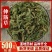 中药材伸筋草筋骨草新货透骨草舒筋草