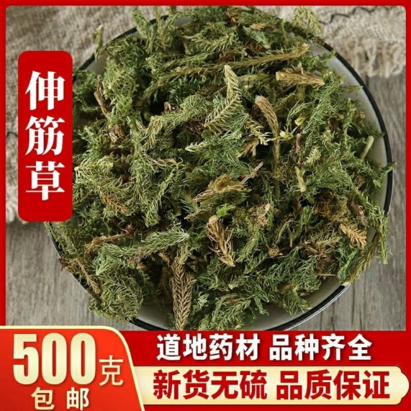 中药材伸筋草筋骨草新货透骨草舒筋草