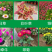 草花
