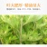 天然艾叶干艾草艾灸泡脚包去湿气泡澡艾叶中医包足浴粉