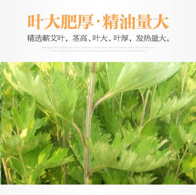 天然艾叶干艾草艾灸泡脚包去湿气泡澡艾叶中医包足浴粉