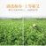 天然艾叶干艾草艾灸泡脚包去湿气泡澡艾叶中医包足浴粉