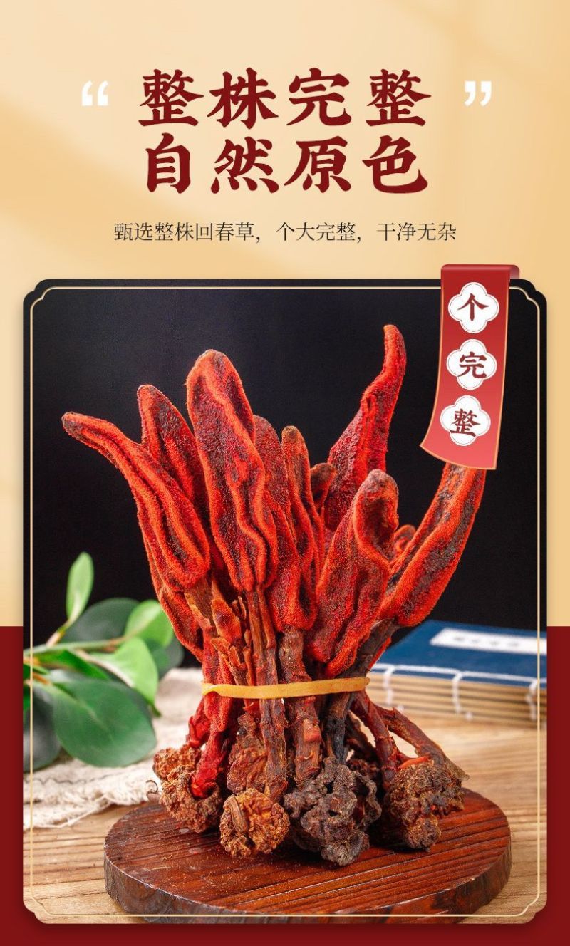 野生回春草不老草特级回春草搭枸杞泡酒药材泡茶