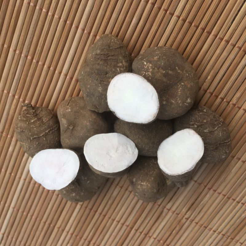浙江三叶青野生新鲜中药材