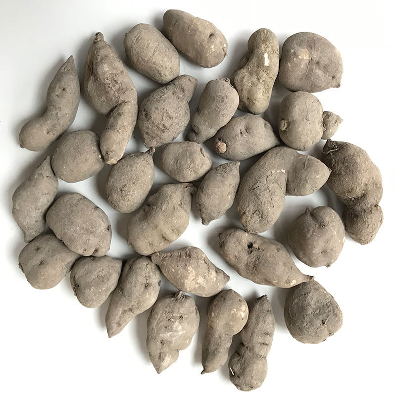 三叶青中药材金线吊葫芦蛇附子土经丸浙江三叶青干货