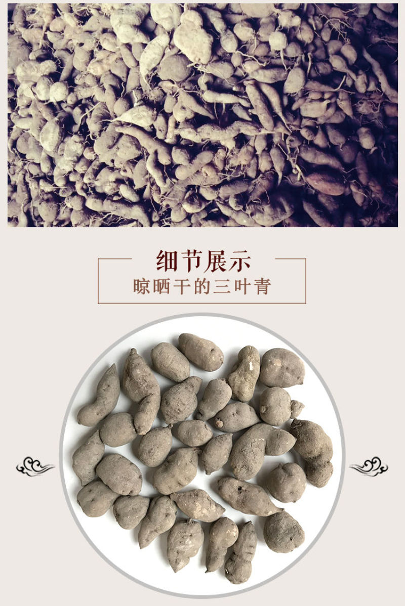三叶青中药材金线吊葫芦蛇附子土经丸浙江三叶青干货