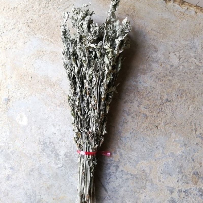 艾叶艾草整颗带杆端午挂门窗月子泡脚泡澡驱蚊虫野生艾草叶熏