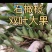 批发石橄榄新鲜潮州双叶小果石仙桃石岩珠煲汤炖汤