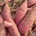 红薯批发香甜可口济薯26沙地红薯自种商用红薯基地新鲜现挖