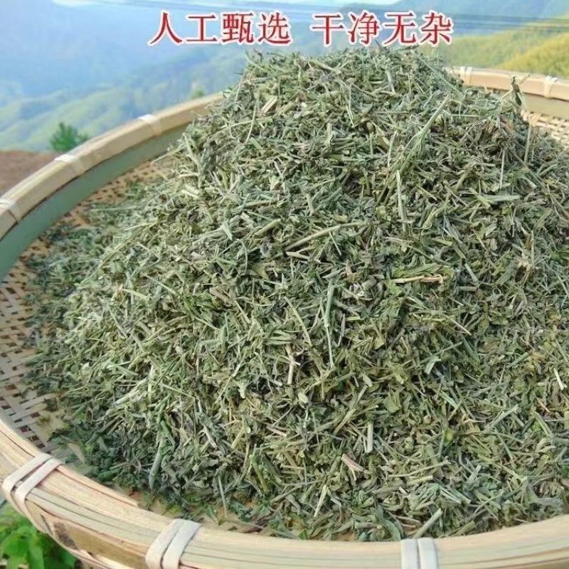 野生透骨草中药材新鲜透骨草自然晒干无硫无添加批发价