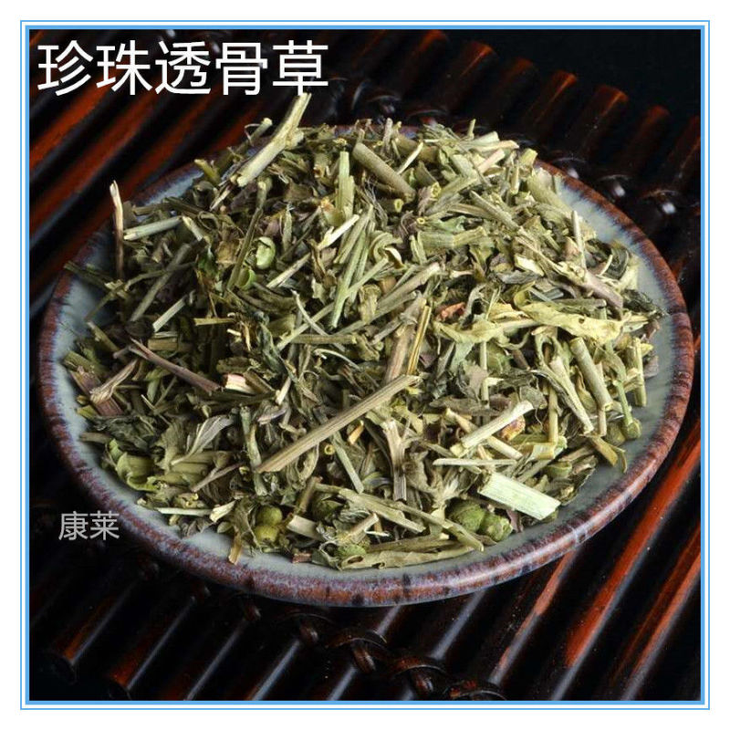 中药材珍珠透骨草批发新货透骨草珍珠透骨草野生透骨草