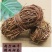 野生鸡骨草干货鸡骨草大黄草新鲜鸡骨茶叶煲汤中药材