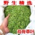 农家野生鸡骨草干货无硫熏鸡骨草叶大黄草根相思藤中药材煲汤