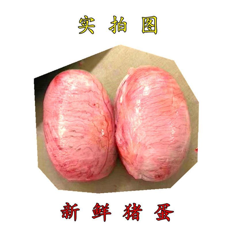 新鲜猪蛋猪宝猪卵猪囊丸猪睾丸