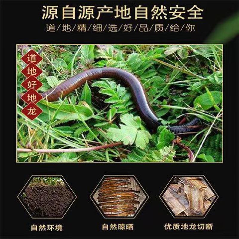 地龙中药材全开地龙干无土地龙无泥沙地龙干蚯蚓干