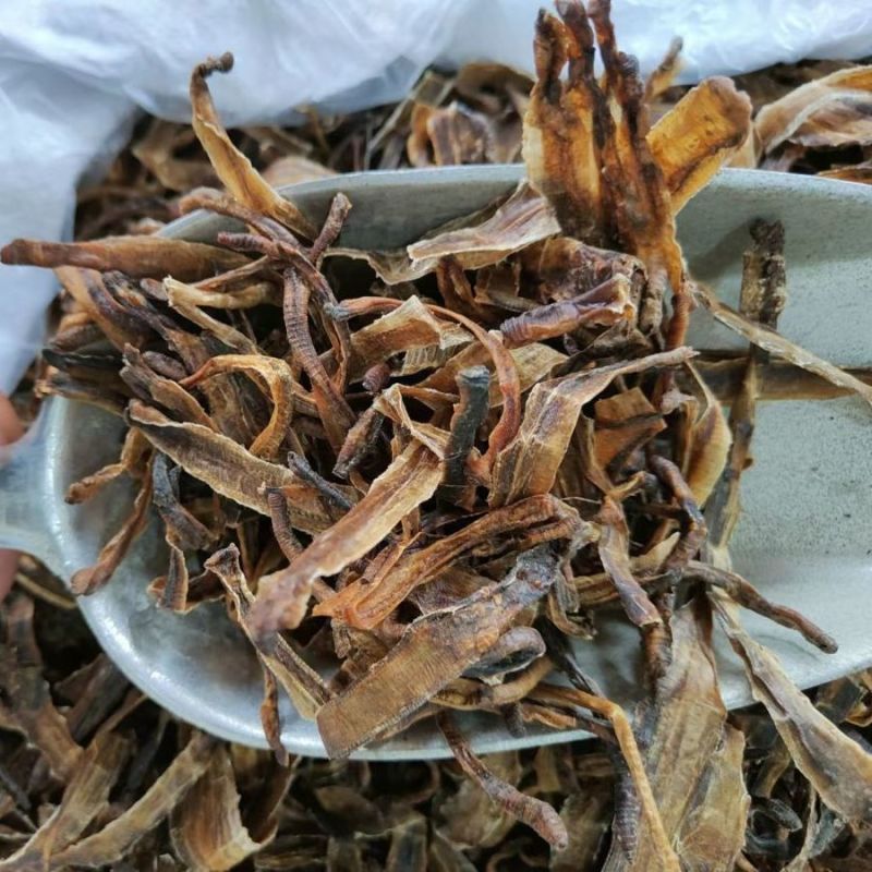 地龙中药材全开地龙干无土地龙无泥沙地龙干蚯蚓干