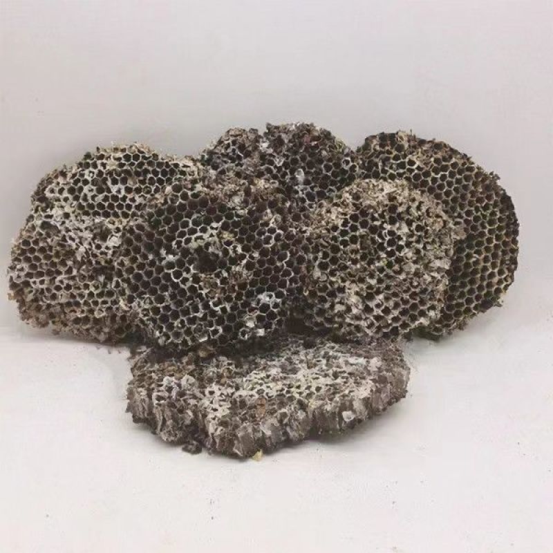 野生天然露蜂房马蜂窝巢煮水牙疼中药材