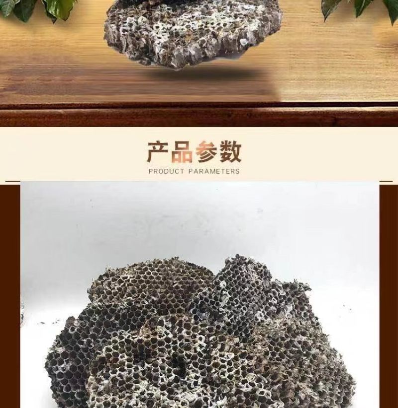 野生天然露蜂房马蜂窝巢煮水牙疼中药材