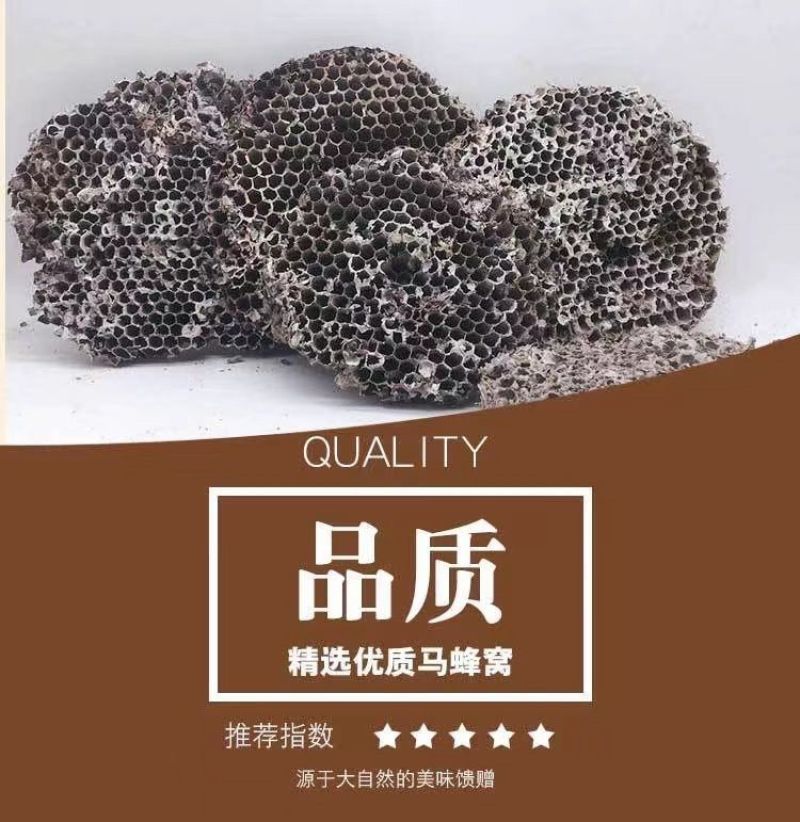 野生天然露蜂房马蜂窝巢煮水牙疼中药材