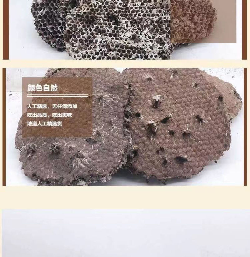 野生天然露蜂房马蜂窝巢煮水牙疼中药材