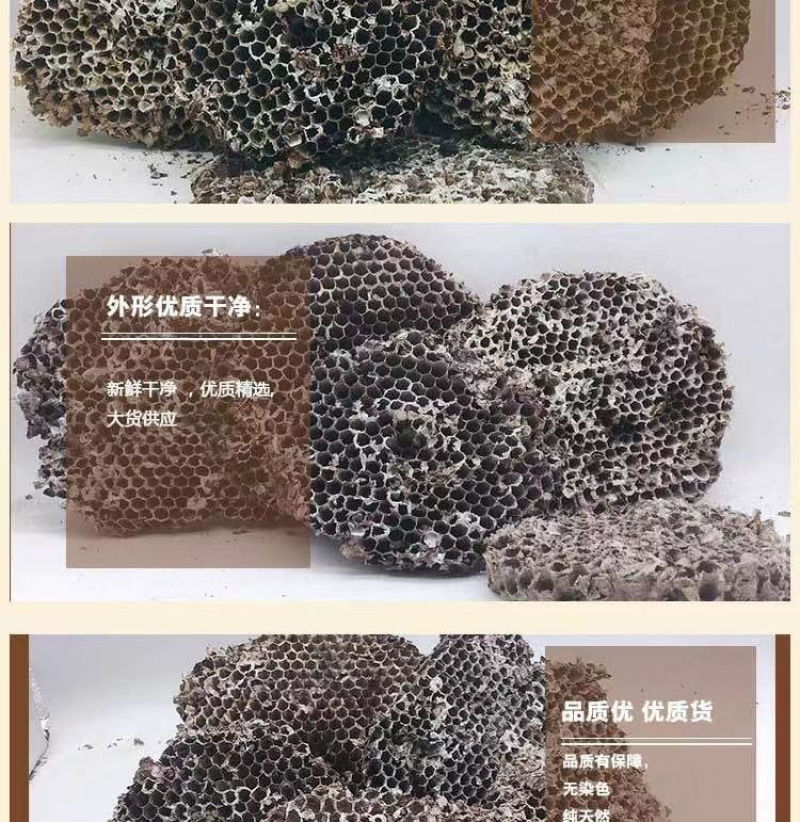 野生天然露蜂房马蜂窝巢煮水牙疼中药材