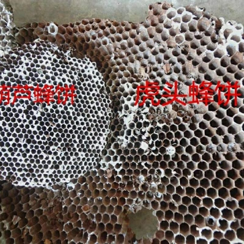 云南野生中药材蜂房胡蜂巢马蜂窝露蜂房硬蜂房块状