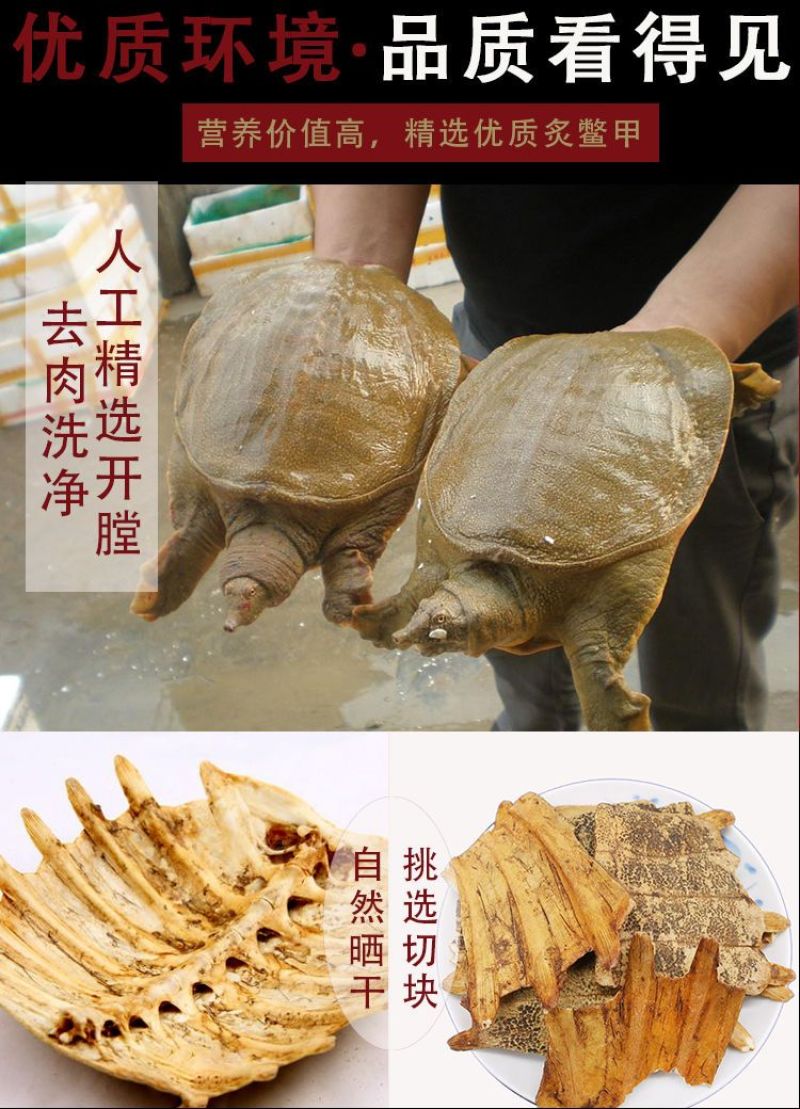 炙鳖甲中药材醋鳖甲鳖甲粉野生制鳖甲配方原生态优质干货