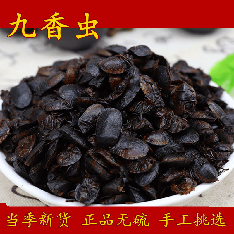 炒小九香虫中药材清水小生九香虫打屁虫