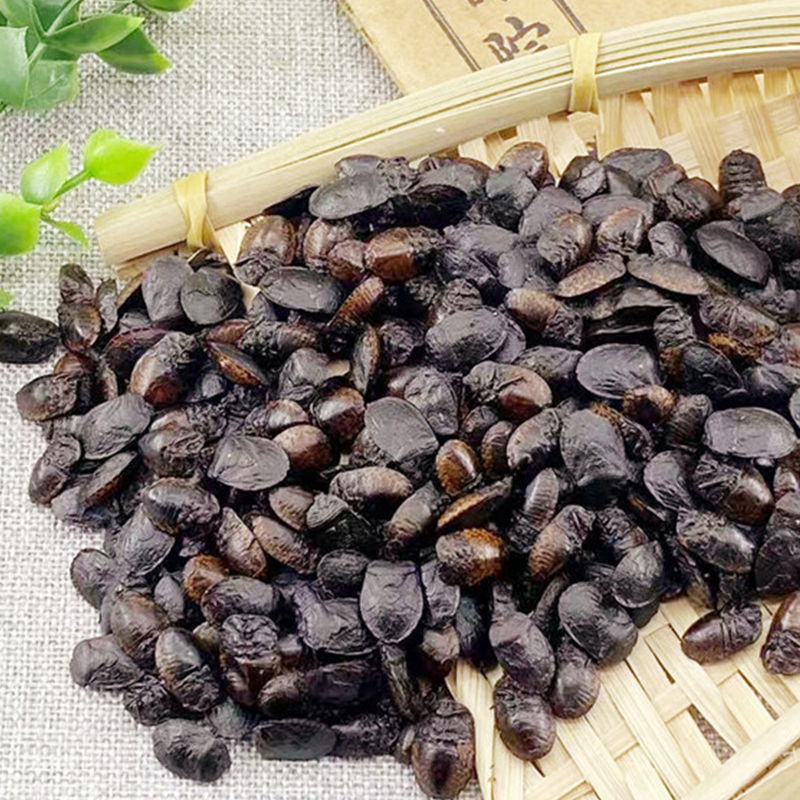 炒小九香虫中药材清水小生九香虫打屁虫