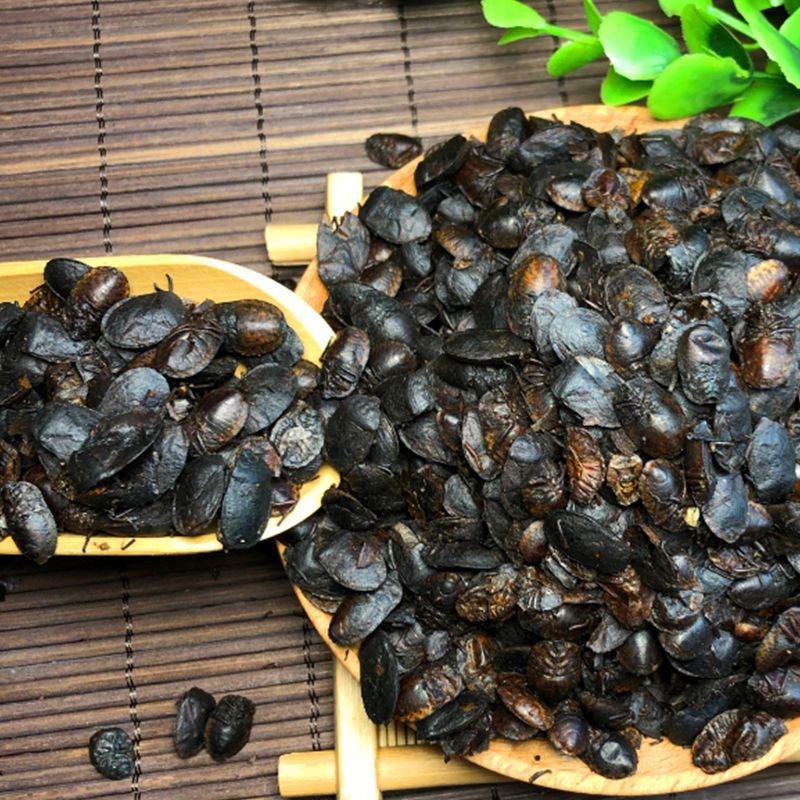 炒小九香虫中药材清水小生九香虫打屁虫
