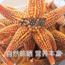 海星泡酒料海星干海盘车海星干货50g滋补煲汤泡酒