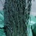 精品脱水干豆角一手货源品质保障价格优惠欢迎全国客户咨询