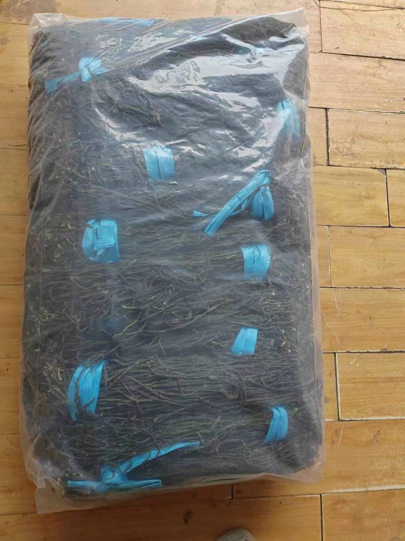 精品脱水干豆角一手货源品质保障价格优惠欢迎全国客户咨询