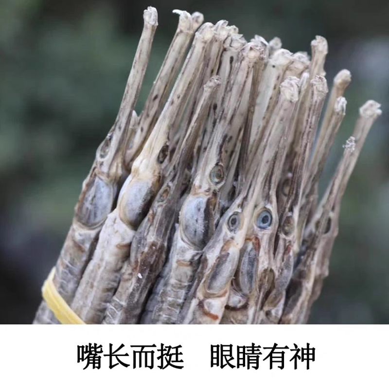 野生六角海龙干渔民捕捞天然海产干货煲汤滋补中药材泡酒料