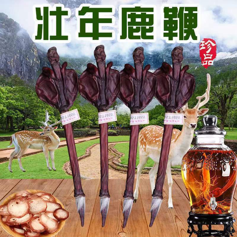 鹿场整根鹿鞭壮年鹿成年鹿鞭泡酒中药材