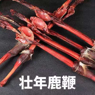 鹿场整根鹿鞭壮年鹿成年鹿鞭泡酒中药材