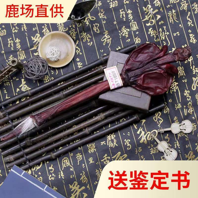 鹿场整根鹿鞭壮年鹿成年鹿鞭泡酒中药材