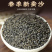 蚕砂批发蚕矢中草药材原材农产品蚕屎填枕头散装蚕沙