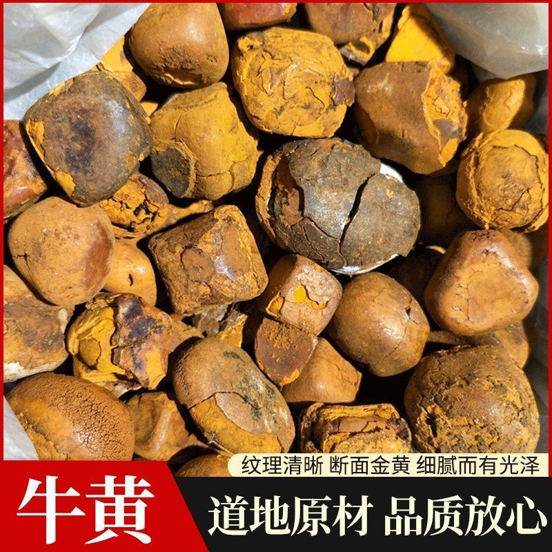 牛黄天然中药材牛黄牛胆黄牛结石牛黄粉干货
