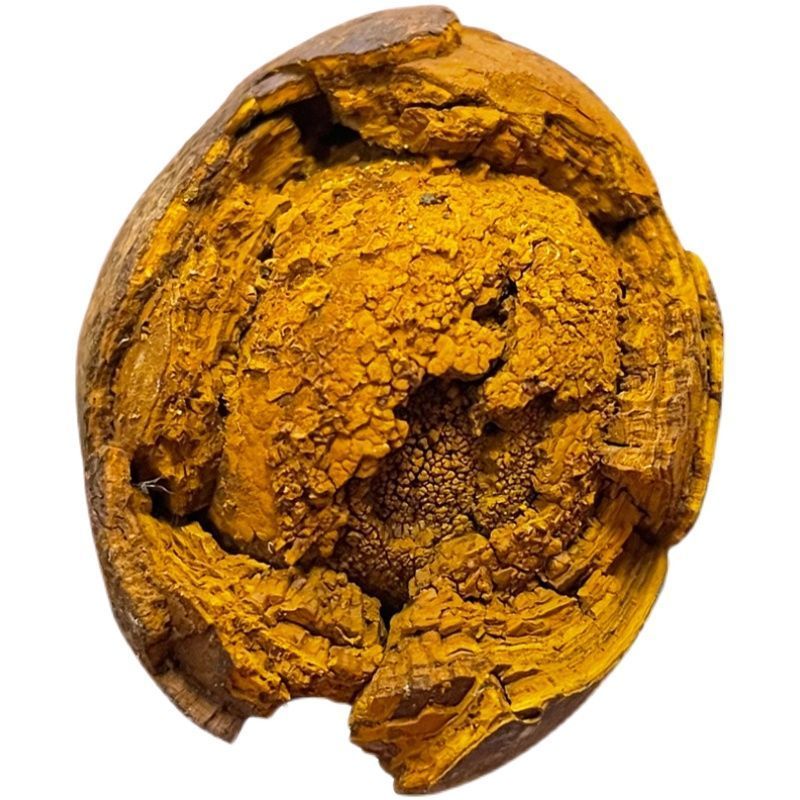 牛黄天然中药材牛黄牛胆黄牛结石牛黄粉干货