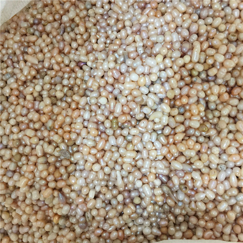 药用珍珠天然淡水磨粉珍珠供佛菩萨曼扎装藏