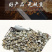 鼠妇虫中药材鼠妇虫野生鼠妇虫无硫原色