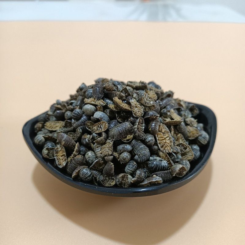 鼠妇虫中药材野生鼠妇虫潮虫