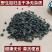 鼠妇虫中药材野生鼠妇虫潮虫