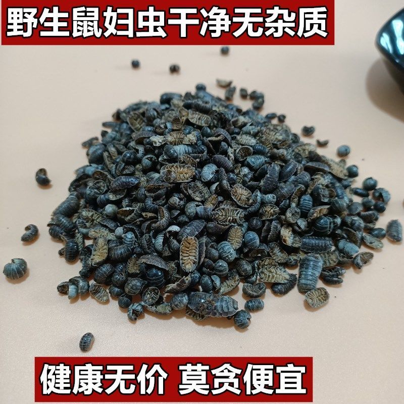 鼠妇虫中药材野生鼠妇虫潮虫