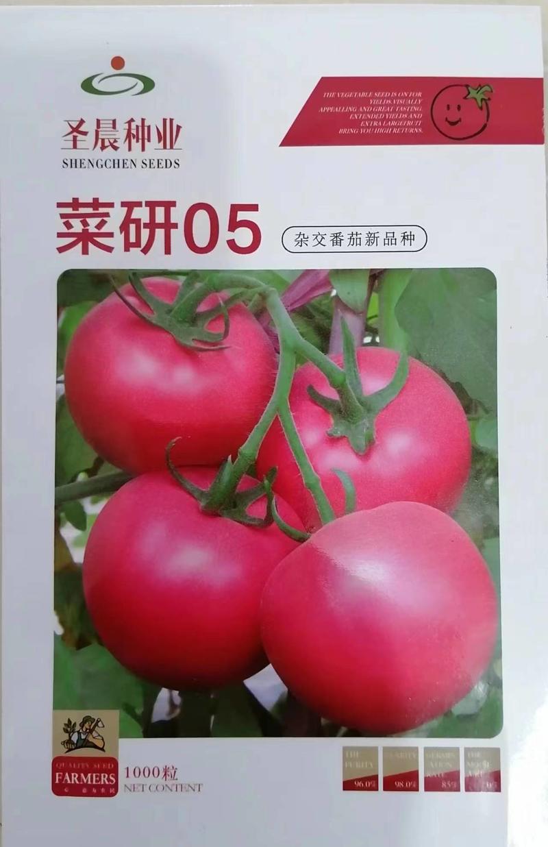 欧尚番茄种子苗子硬果大粉西红柿抗病毒番茄