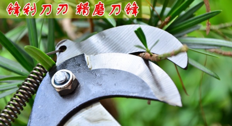 省力剪送绳子高枝剪刀摘果器树枝剪刀高空修枝园林果树高空剪
