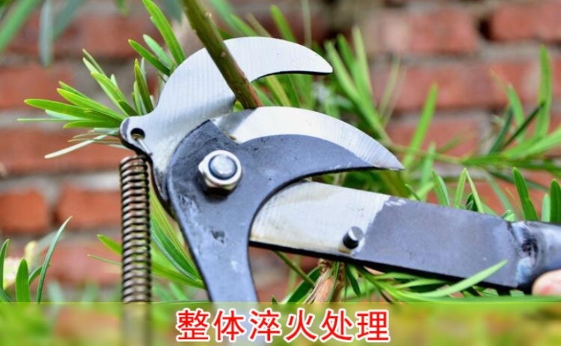 省力剪送绳子高枝剪刀摘果器树枝剪刀高空修枝园林果树高空剪