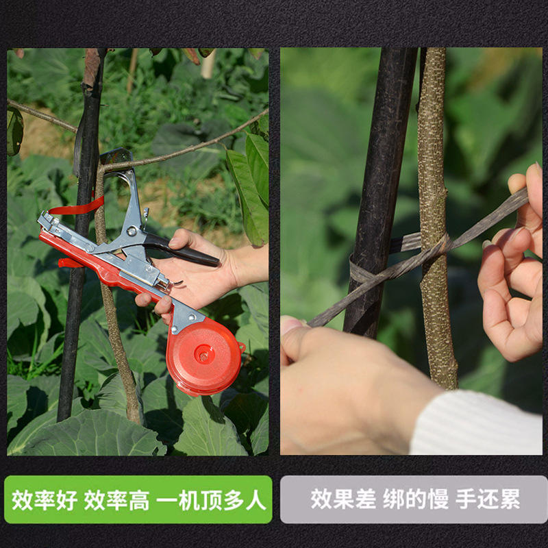 葡萄绑枝机绑枝器黄瓜绑蔓机绑藤机葡萄绑枝机绑条器园艺工具